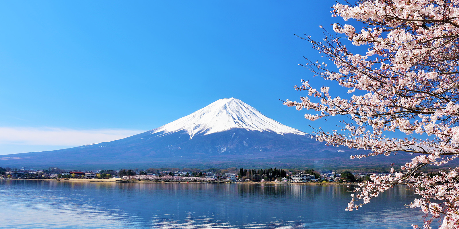 フジヤマタイルラボ｜富士山を中心とした銭湯壁画タイル製作